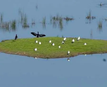 컨트리하우스 Manuko Benta *