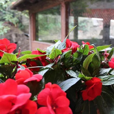 Manuko Benta * بيرميو