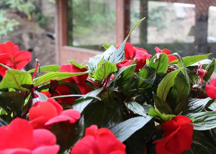 Manuko Benta * Bermeo